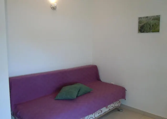 Sveta Nedilja 13753d *