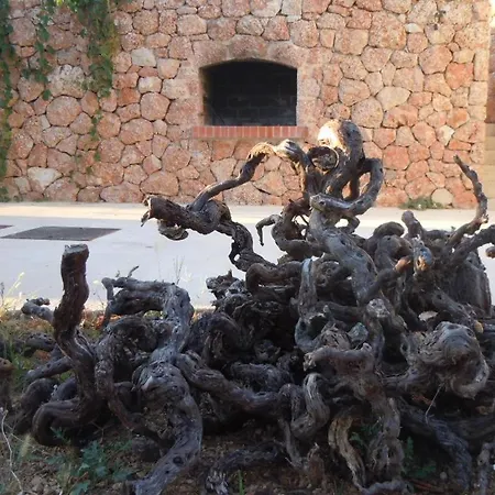 アパート Sveta Nedilja 13753d イェルサ