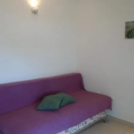 Sveta Nedilja 13753d *